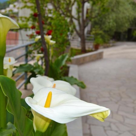 Tivat Apartments Zewnętrze zdjęcie